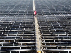 India adds 1.2 GW open access solar capacity in 2021: Mercom India  Read more at: https://economictimes.indiatimes.com/industry/renewables/india-adds-1-2-gw-open-access-solar-capacity-in-2021-mercom-india/articleshow/90290176.cms?utm_source=contentofinter